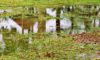 Stormwater Drain Solutions in Wollongong: Identifying Causes