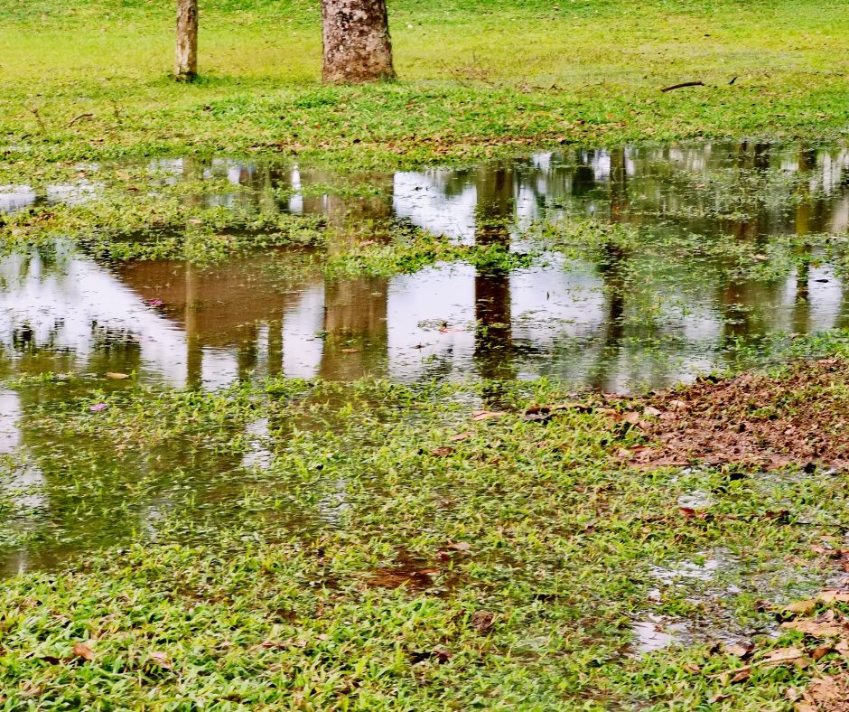 Stormwater Drain Solutions in Wollongong: Identifying Causes
