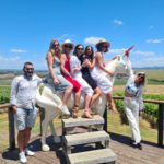 Yarra Valley Wineries: A Guide for 2025 Exploration